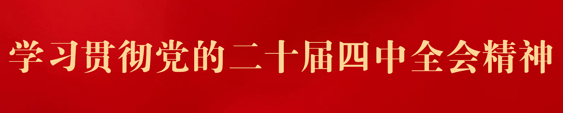 学习贯彻党的二十届四中全会精神.jpg
